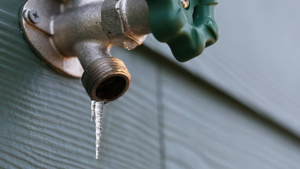 Best Commercial Plumbing Services  in Bayou Lourse, LA