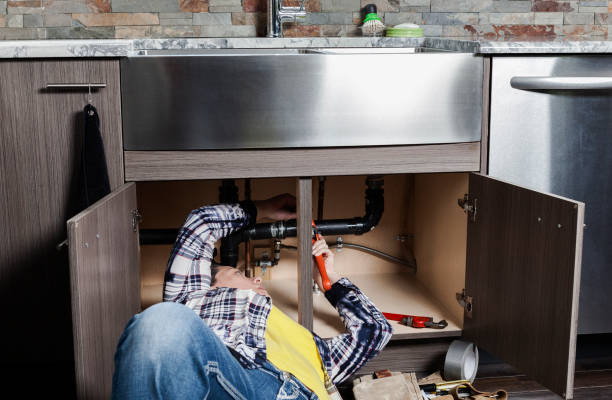 Best Plumbing Inspection Services  in Bayou Lourse, LA